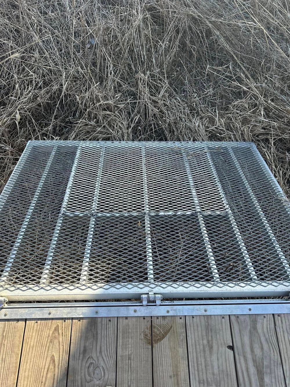 Metal mesh grate over wooden floor, surrounded by dry grass and weeds.